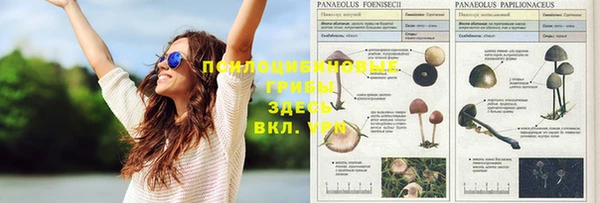 ECSTASY Рославль