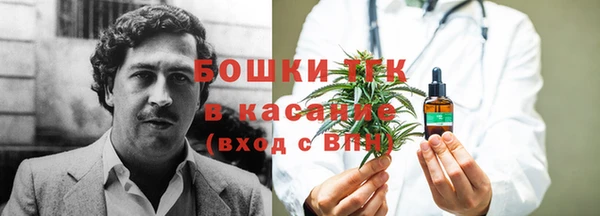 гидра Армянск